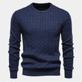 Rogier | Pull Élégant pour Hommes