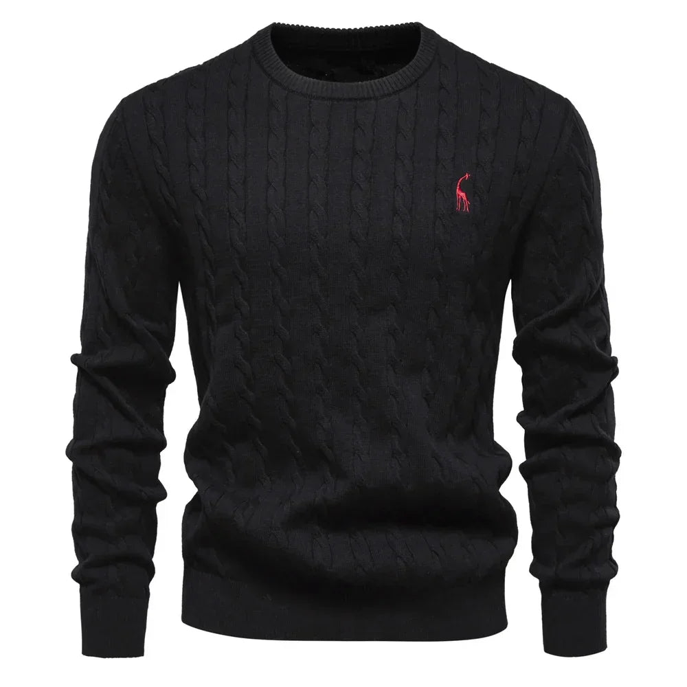 Rogier | Pull Élégant pour Hommes